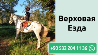 Верховая Езда